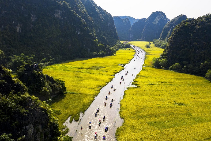 Ninh Binh Vietnam ninh binh rice fields