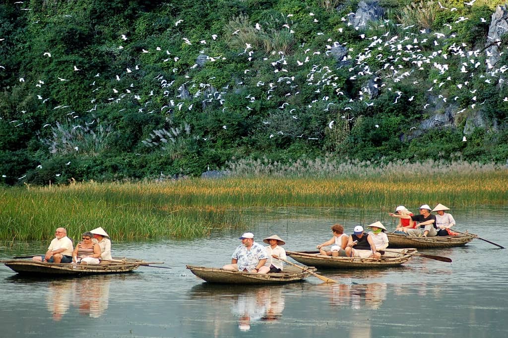 Ninh Binh Vietnam van long nature reserve best time