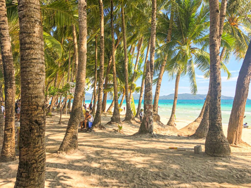 Idyllic tropical beach scene with coconut palms, clear sky, and pristine ocean water.