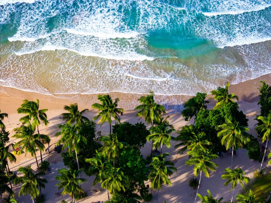 A breathtaking aerial view of a tropical beach with palm trees and turquoise waves in MIMAROPA, Philippines.